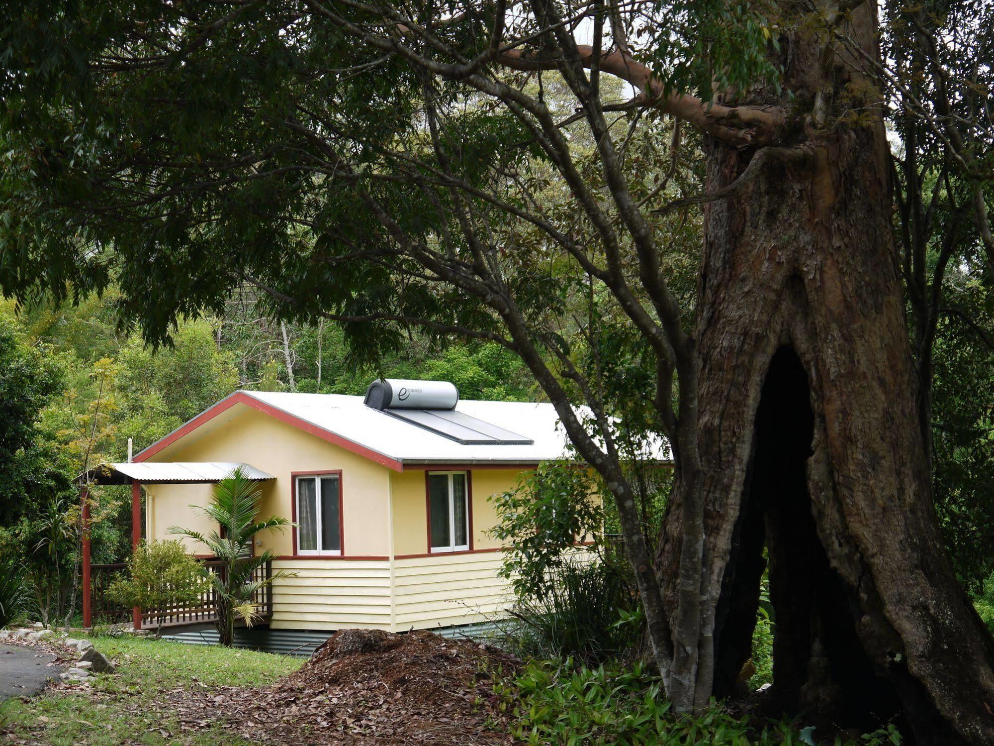 Teretre Cabins Nimbin Βίλα Εξωτερικό φωτογραφία